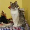 Отзыв от Яна Аксенова